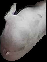 Crop