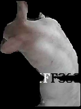Crop