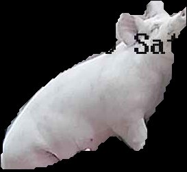 Crop