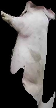 Crop