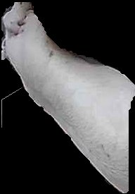 Crop