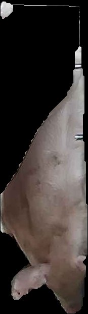 Crop