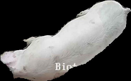 Crop