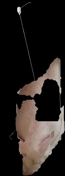 Crop