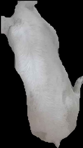 Crop