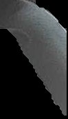 Crop