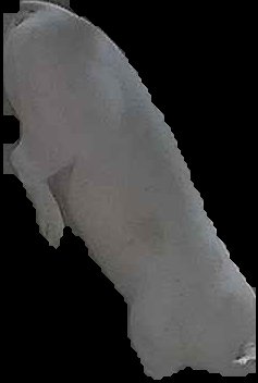 Crop