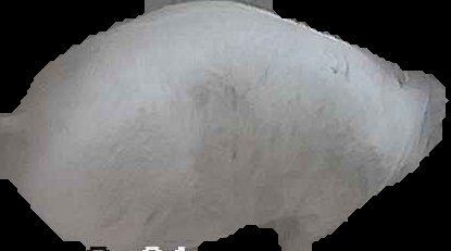Crop