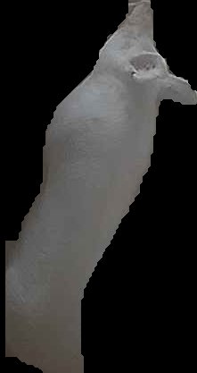 Crop