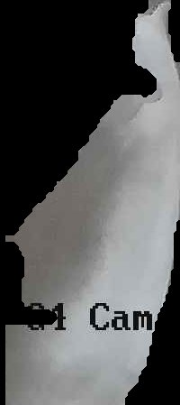 Crop