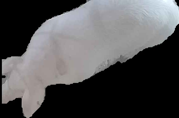 Crop