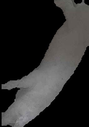 Crop