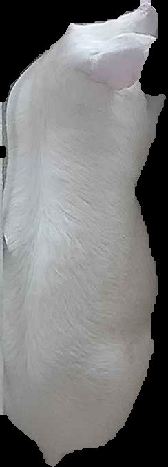 Crop