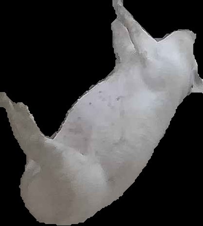 Crop
