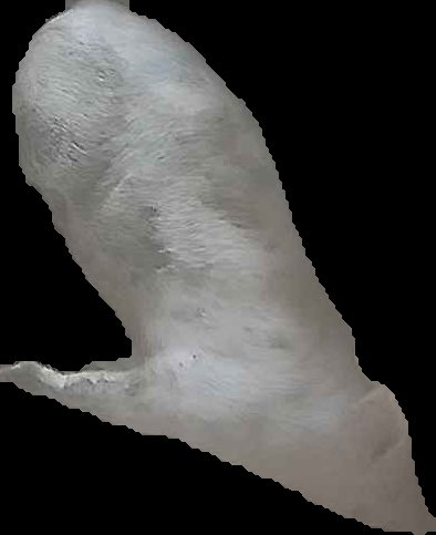 Crop