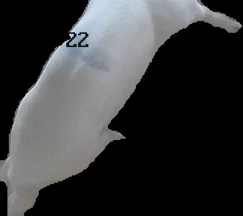 Crop