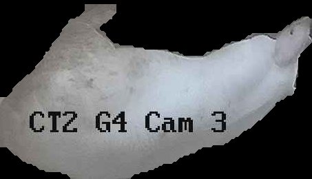 Crop