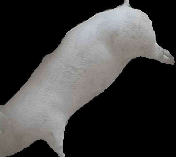 Crop