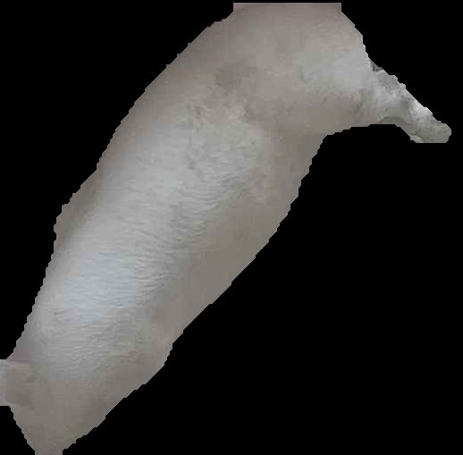 Crop