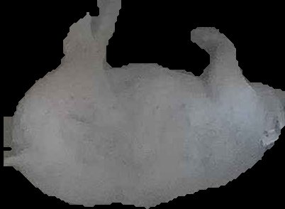 Crop