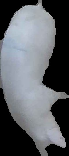 Crop