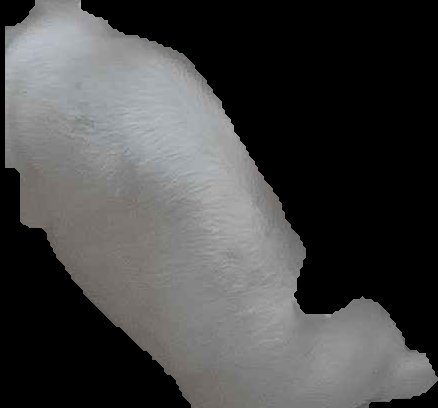 Crop