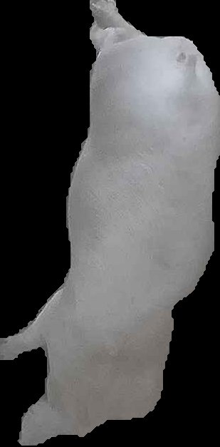 Crop