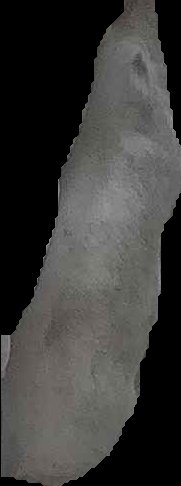 Crop