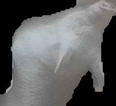 Crop