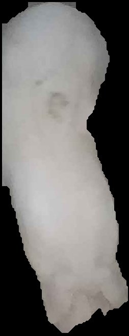 Crop