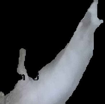 Crop