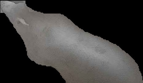 Crop