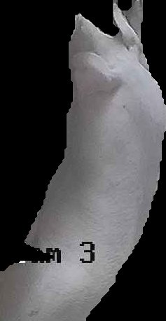 Crop