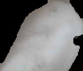 Crop