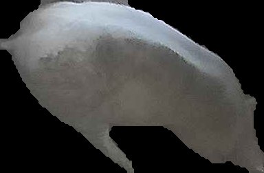 Crop
