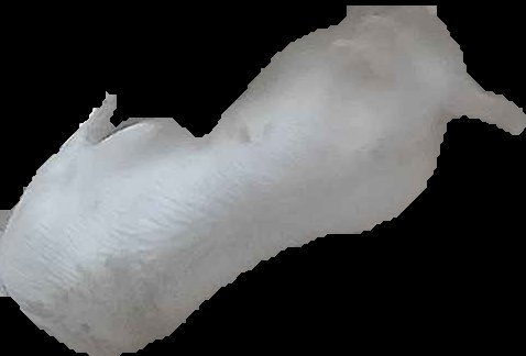 Crop