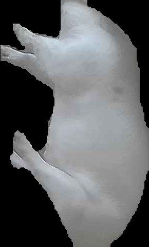 Crop