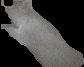 Crop