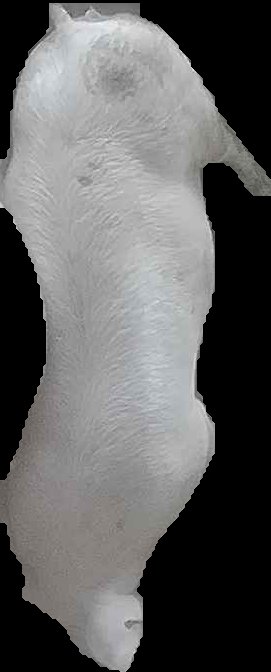 Crop