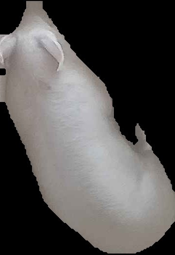 Crop