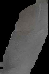 Crop