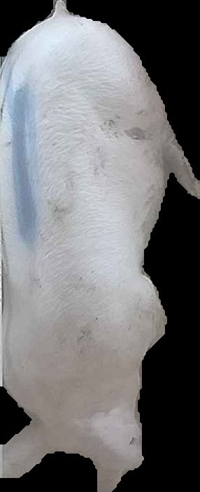 Crop