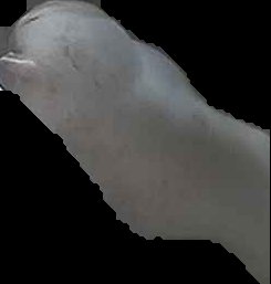 Crop