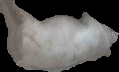 Crop