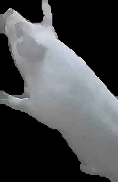 Crop