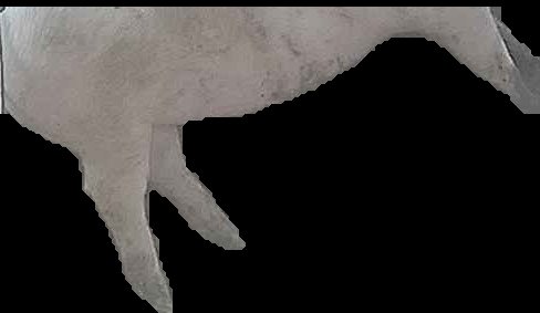 Crop