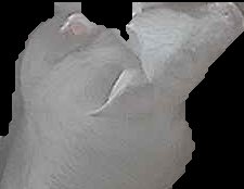 Crop