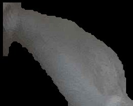Crop