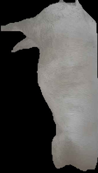Crop