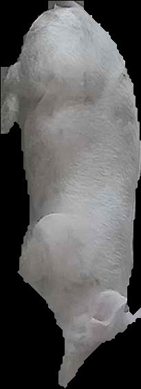 Crop